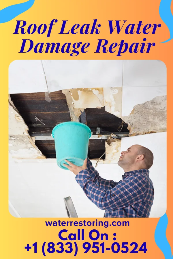 Roof Leak Water Damage Repair in Ludlow, MO