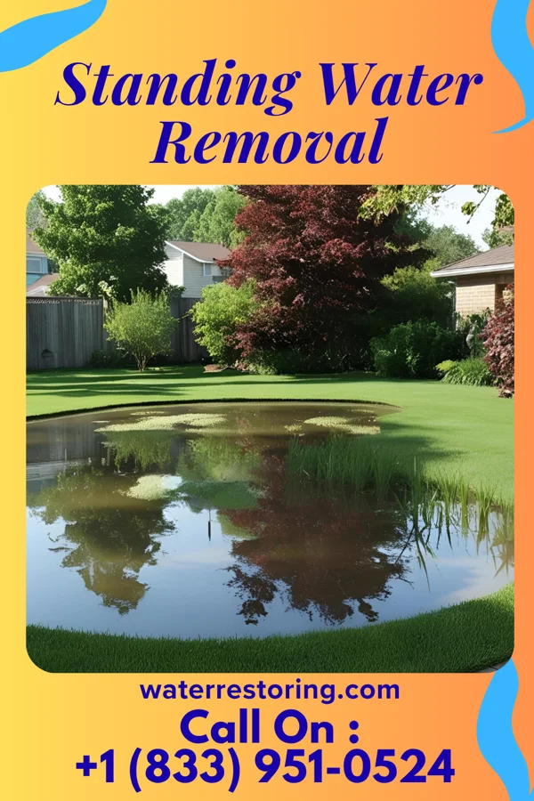 Standing Water Removal in Ludlow, MO